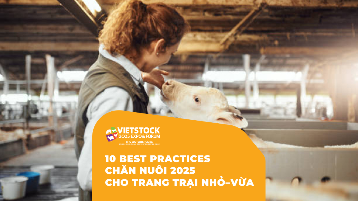 10 best practices chăn nuôi 2025 Cho trang trại nhỏ–vừa